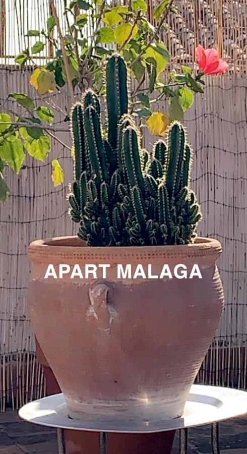 Appartement Plein Coeur Centre Historique De Malaga Málaga Exterior foto